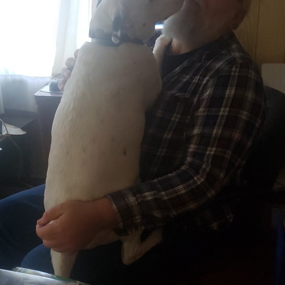 Meet your Posher, Richard - Picture 1 of 1